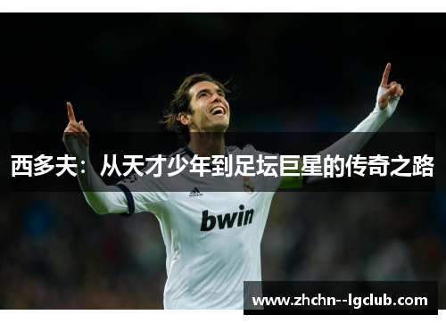 西多夫：从天才少年到足坛巨星的传奇之路