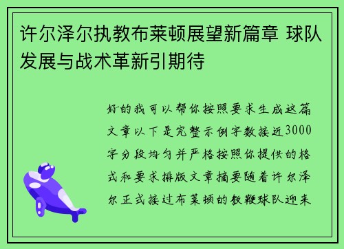 许尔泽尔执教布莱顿展望新篇章 球队发展与战术革新引期待